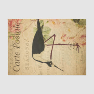 Ephemera French Briefkaart Avocet Bird Decoupage Tissuepapier