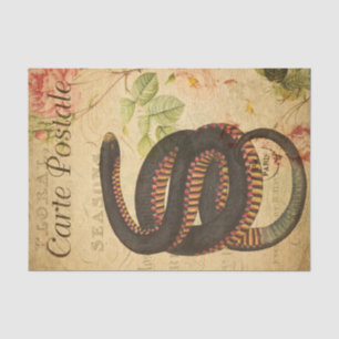 Ephemera French Briefkaart Black Snake Decoupage Tissuepapier