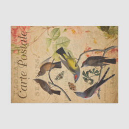 Ephemera French Briefkaart Flycatcher Bird Decoupa Tissuepapier