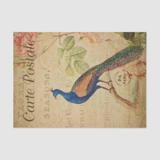 Ephemera French Briefkaart Peacock Decoupage Tissuepapier (Voorkant)
