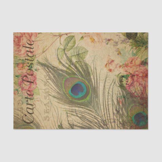 Ephemera French Briefkaart Peacock Feather Decoupa Tissuepapier (Voorkant)