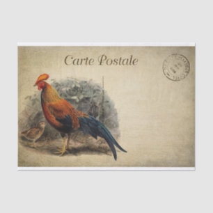 Ephemera French Briefkaart Rooster Chick Decoupage Tissuepapier