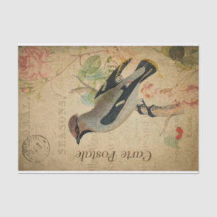 Ephemera French Briefkaart Waxing Bird Decoupage Tissuepapier