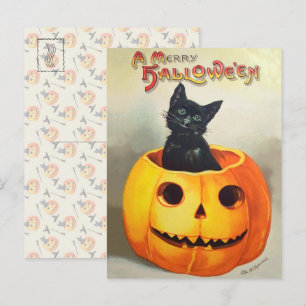 Ephemera Halloween Illustratie Zwarte Kat Briefkaart