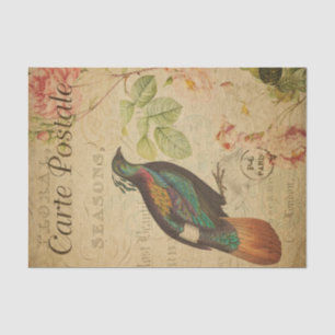 Ephemera Himalayan Monal Pheasant Bird Decoupage Tissuepapier
