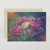 Ephemera Journal Craft Briefkaart Rozen (Voorkant / Achterkant)