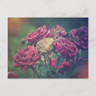 Ephemera Journal Craft Roses de carte postale