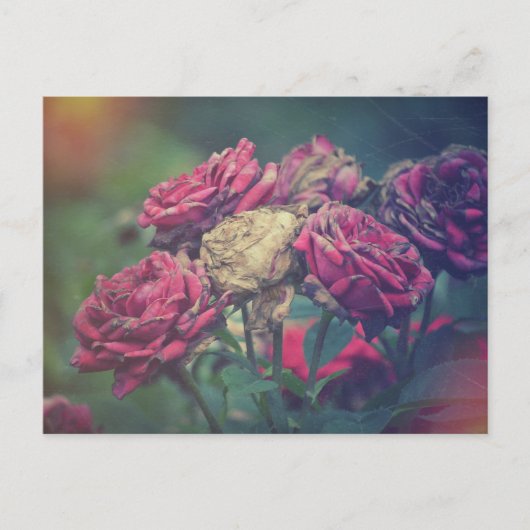 Ephemera Journal Craft Roses de carte postale (Devant)