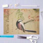 Ephemera Long-Tailed Tit Bird Roses Decoupage Tissuepapier (Craft)