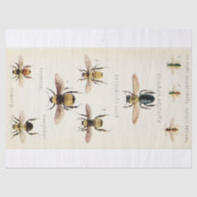  Ephemera Script Bee Decoupage