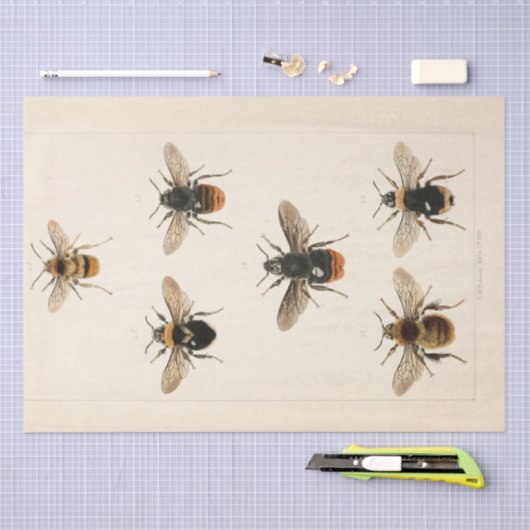  Ephemera Script Bee Decoupage Tissuepapier (Craft)