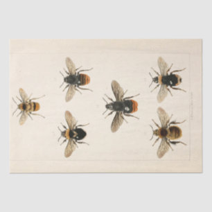  Ephemera Script Bee Decoupage Tissuepapier