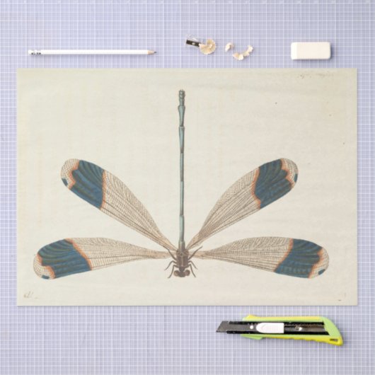 Ephemera Script Dragonfly Decoupage Tissuepapier (Craft)
