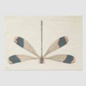  Ephemera Script Dragonfly Decoupage Tissuepapier (Voorkant)