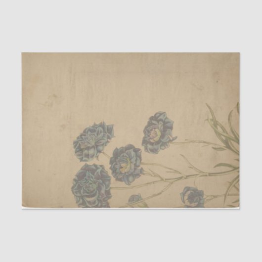 Ephemera Sheet Design Series #1 Tissuepapier (Voorkant)