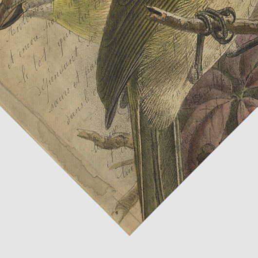 Ephemera Vogels en Manuscript Tissuepapier (Detail)