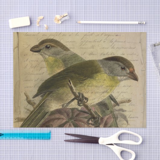 Ephemera Vogels en Manuscript Tissuepapier (Craft)