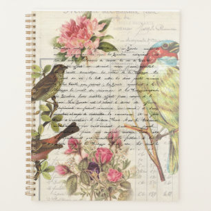 Ephémère botanique vintage de découpage d'oiseaux