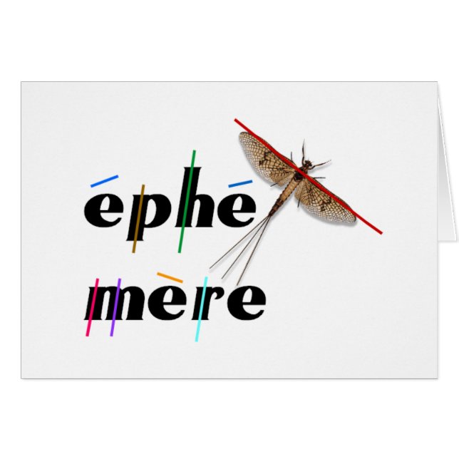 éphémère instantané (Devant horizontal)