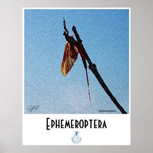 Ephemeroptera - Poster (Devant)