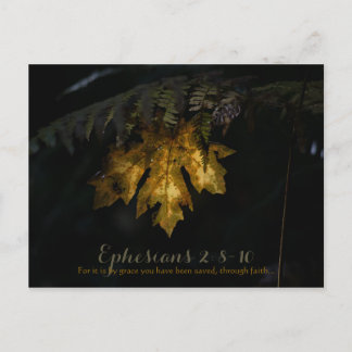 Ephesians Briefkaart