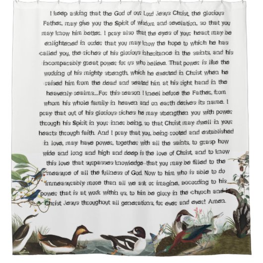 Ephésiens 3 Oiseaux Audubon Douche faunique rideau (Devant)