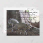 Ephésiens 6:12 Carte postale (Devant / Derrière)