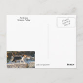 Ephesus Cats Briefkaart (Achterkant)