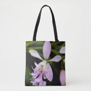 Epidendrum caligarium draagtas
