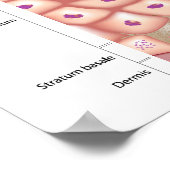 Epiderme de la peau Poster (Coin)