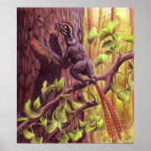 Epidexipteryx afdrukken poster (Voorkant)
