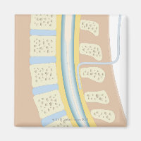 Epidurale anesthesie