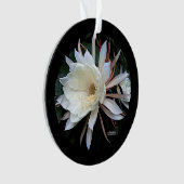 Epifyt Cactus Bloem Ornament (voorkant)