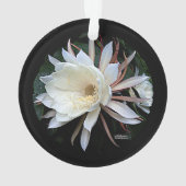 Epifyt Cactus Bloem Ornament (achterkant)