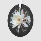 Epifyt Cactus Bloem Ornament (voorkant)