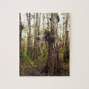 Epifyte Bromeliad in het bos van Florida Legpuzzel