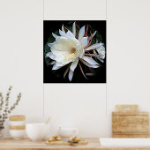 Epifyte Cactus Flower Poster (Keuken)