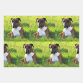 Épiner la boîte - Feuilles de papier à envelopper  (Devant 3)