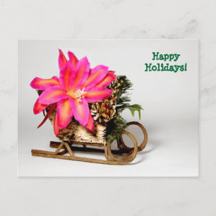 Epiphyllum Christmas Post Kaart