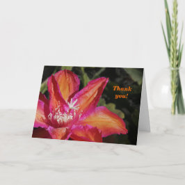 Epiphyllum dankt u kaardt bedankkaart