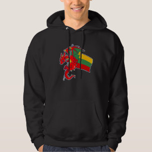Epische Litouwse Draak  Trots Litouwen Vlag Hoodie