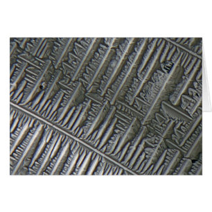 Epsomite sous le microscope