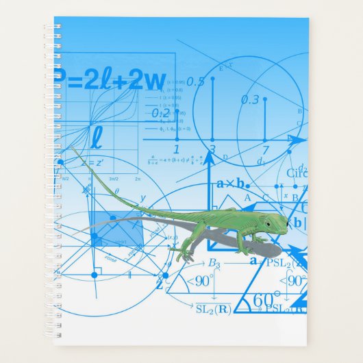 Équations colorées Designs géométriques Lizard (Devant)