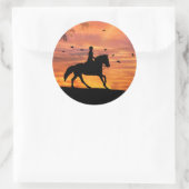 Equestrian Hunter Jumper Horseback Riding Stickers (Tas)