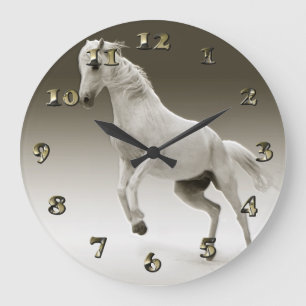 Equestrian White Mare Horse Grote Klok