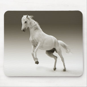 Equestrian White Mare Horse Muismat