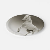 Equestrian White Mare Horse Papieren Bordje (Gekanteld)