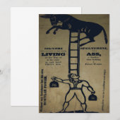 Équilibrer un âne vivant ~ Invitations (Devant / Derrière)