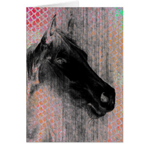 Equine 2