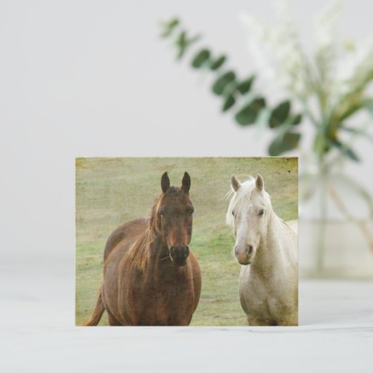 Equine Buddies Briefkaart (Staand voorkant)